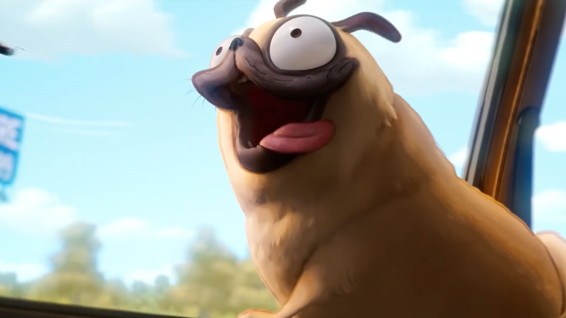 Dog staring out of a car window