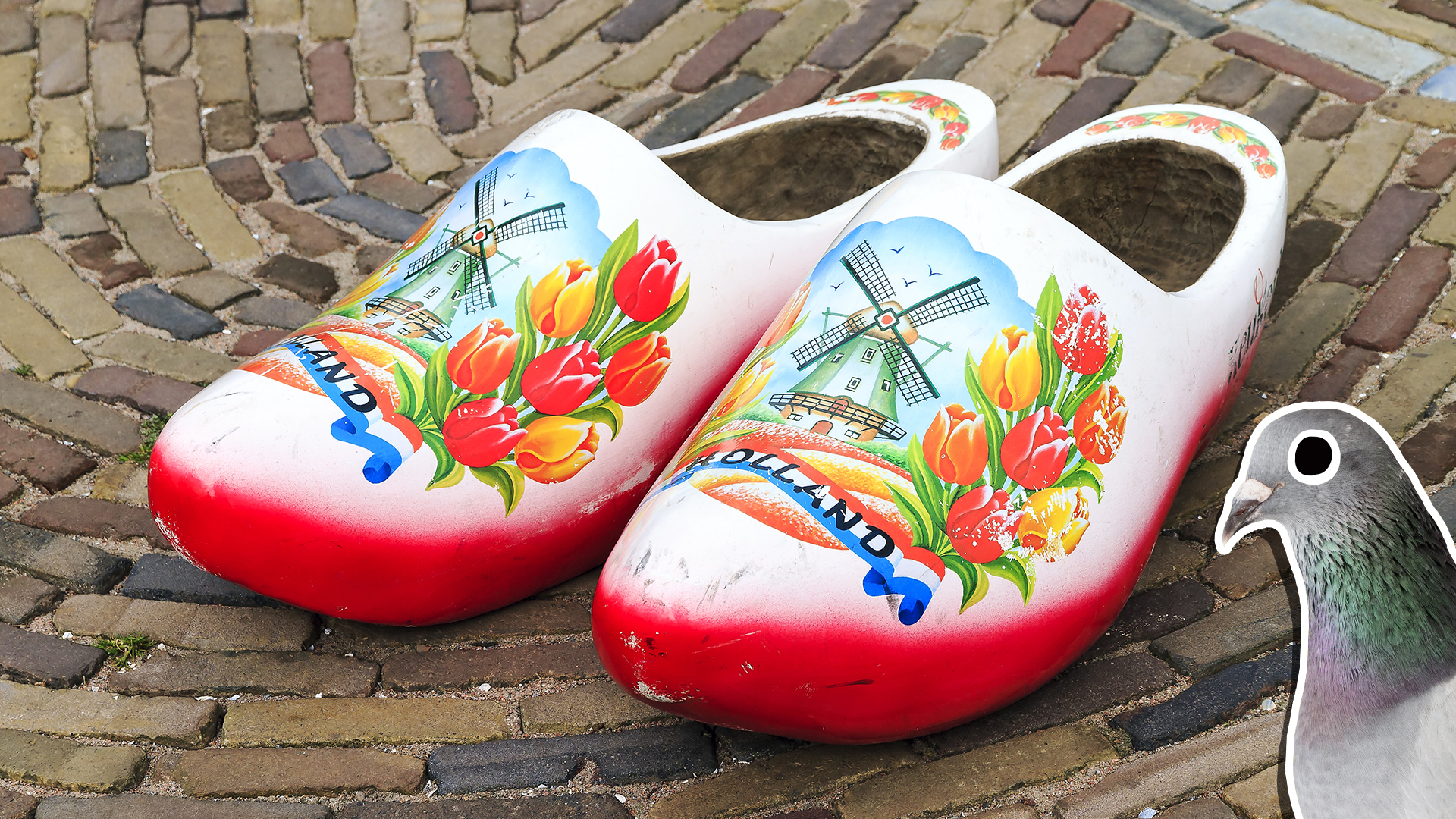 Some clogs