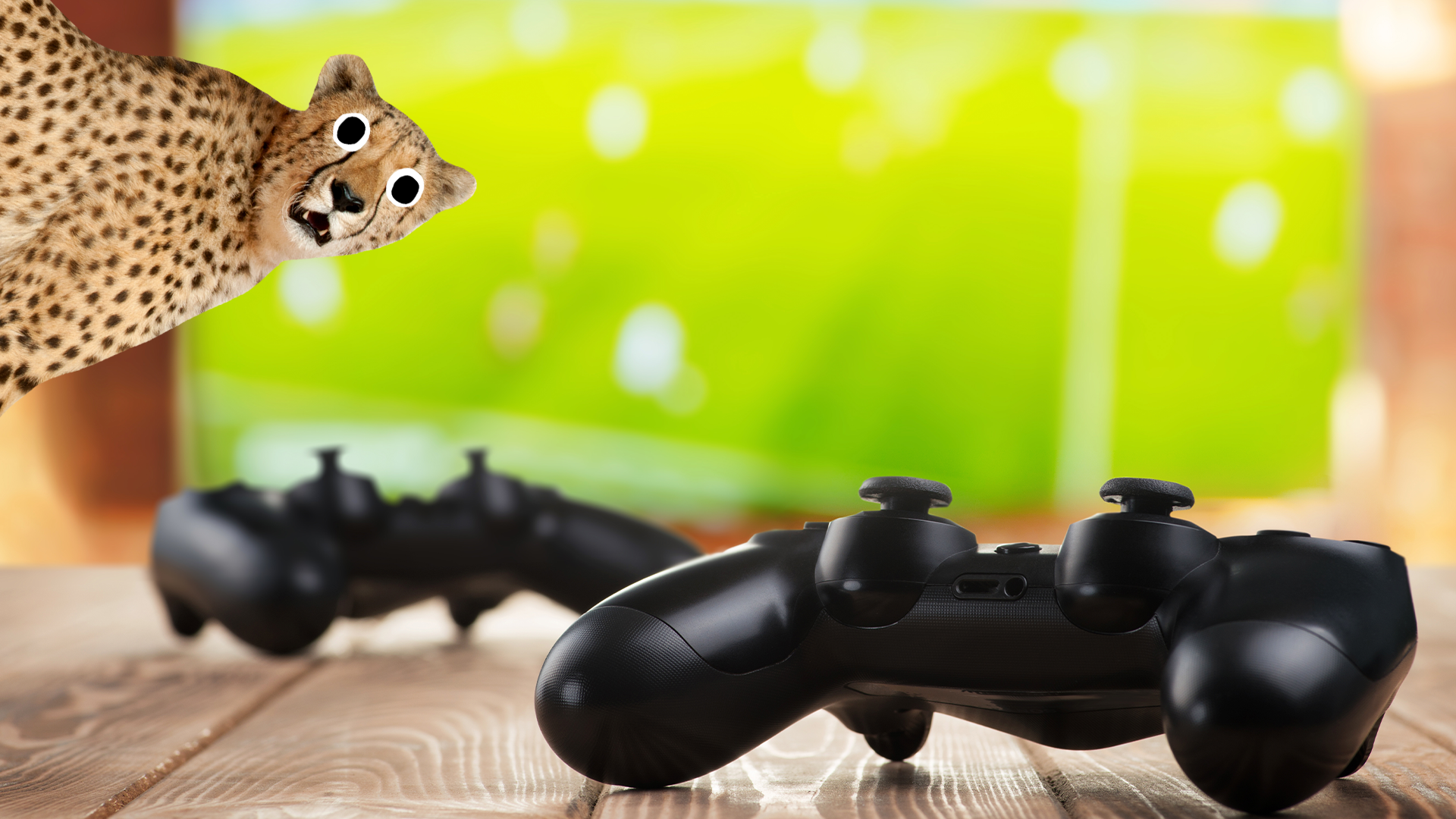FIFA game with two controls while a cheetah looks on