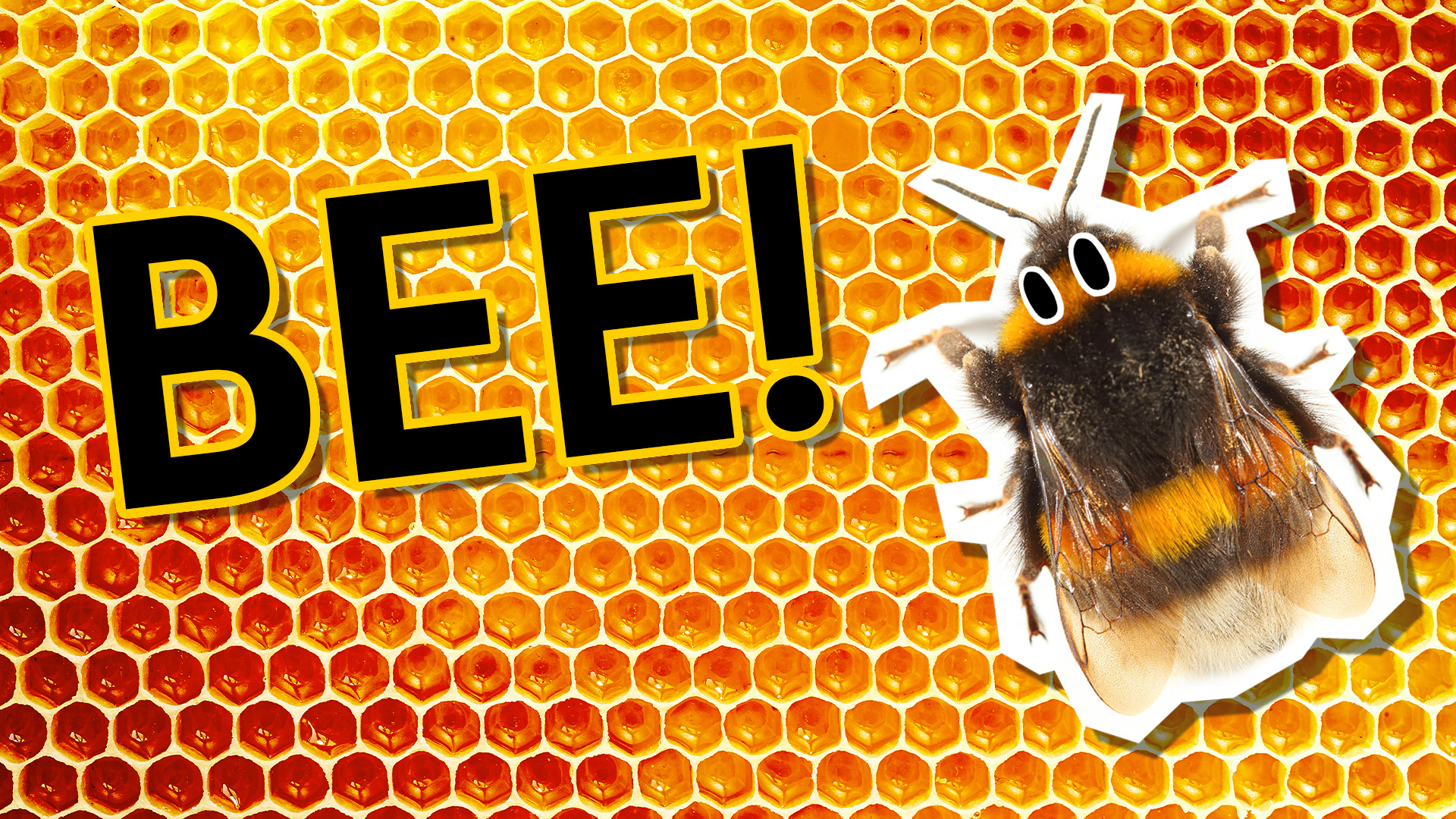 Result: BEE