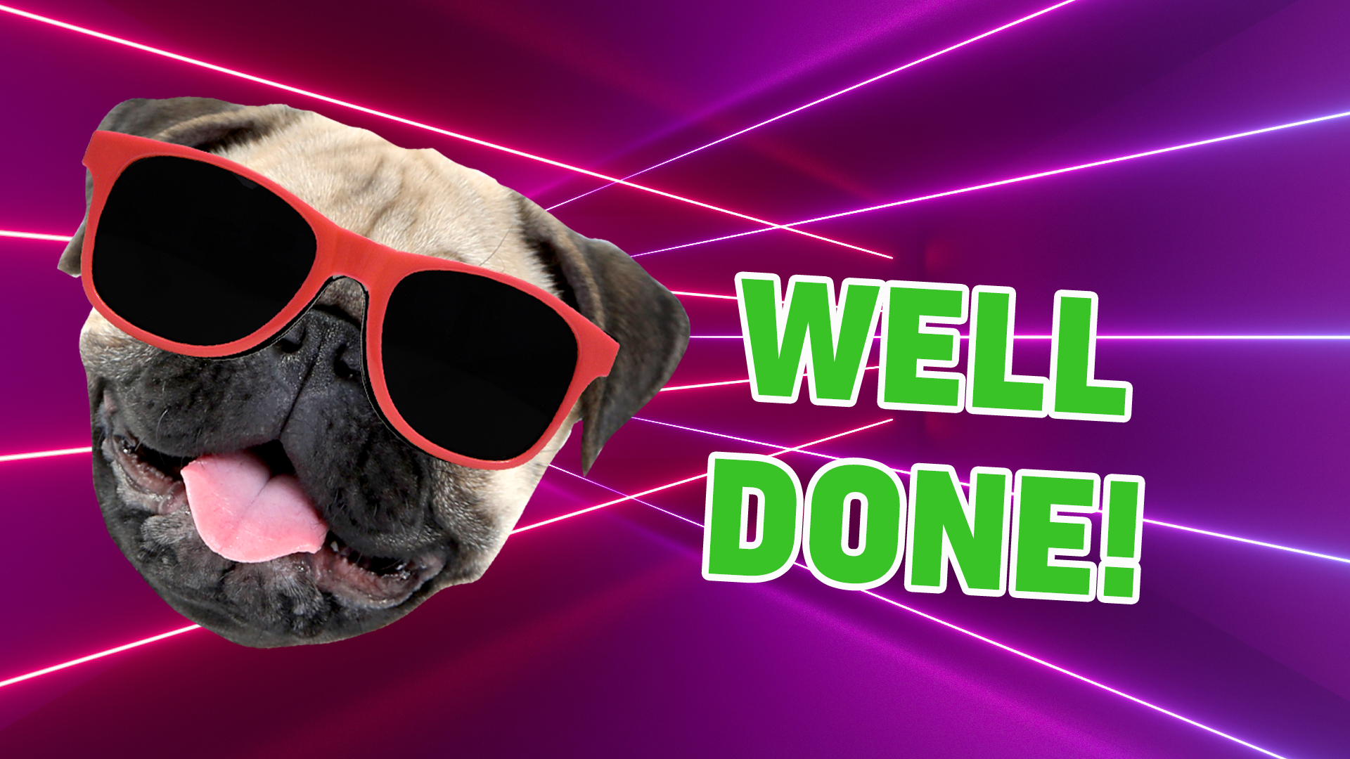 Great work! You&#039;ve sussed the truth from the fibs! Can you get 10/10 next go? We believe in you!