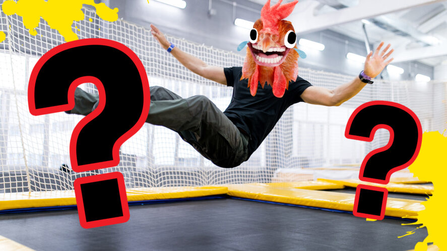 A chicken trampolines!