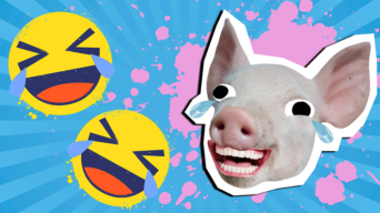 A laughing pig's head and some cry laugh emojis, against a pink and blue background