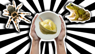 Is This Food Weird?