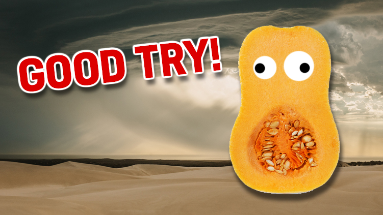 A slice of butternut squash standing on wasteland while a storm brews in the distance