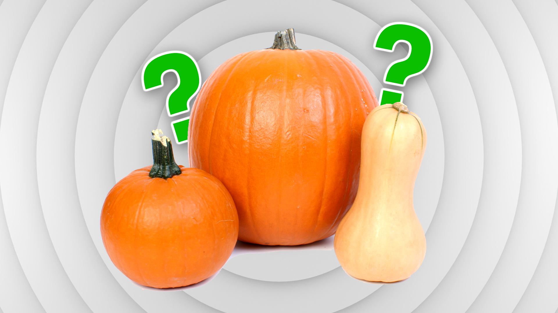 Pumpkins and butternut squash 