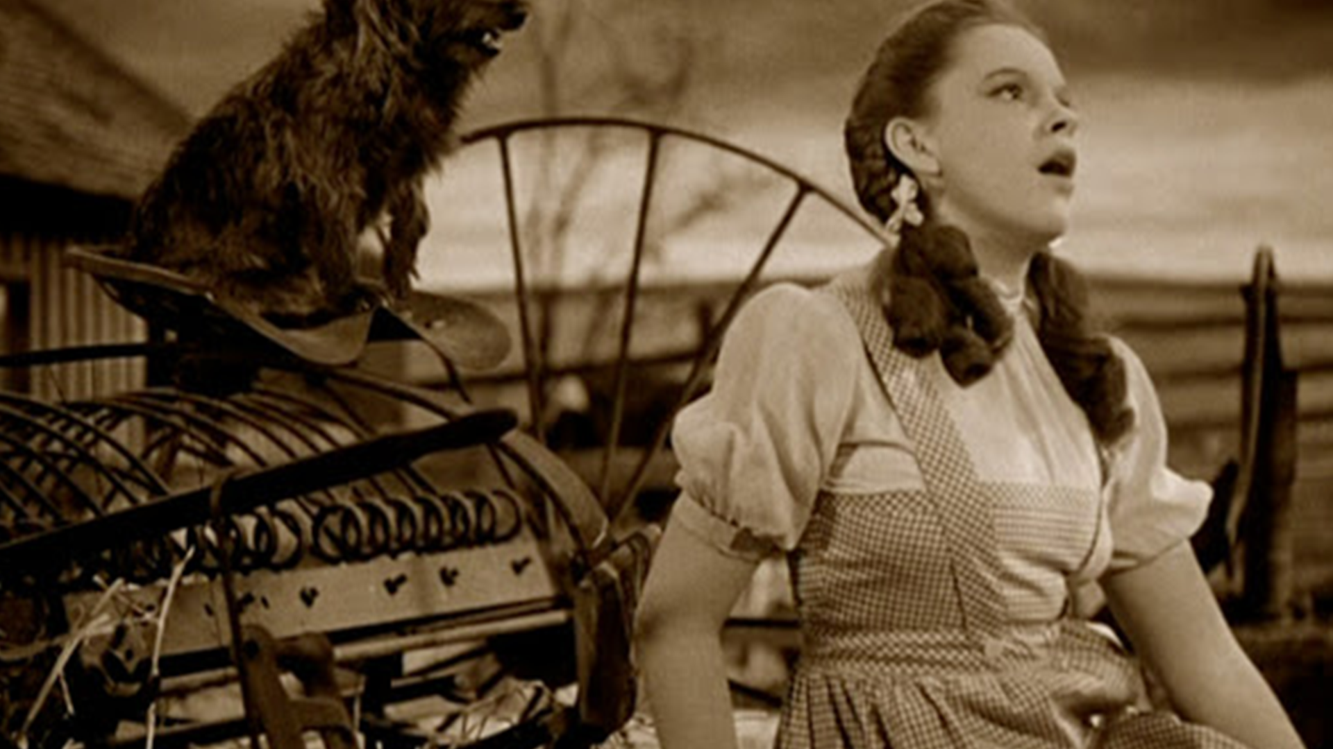 The Wizard of Oz Still